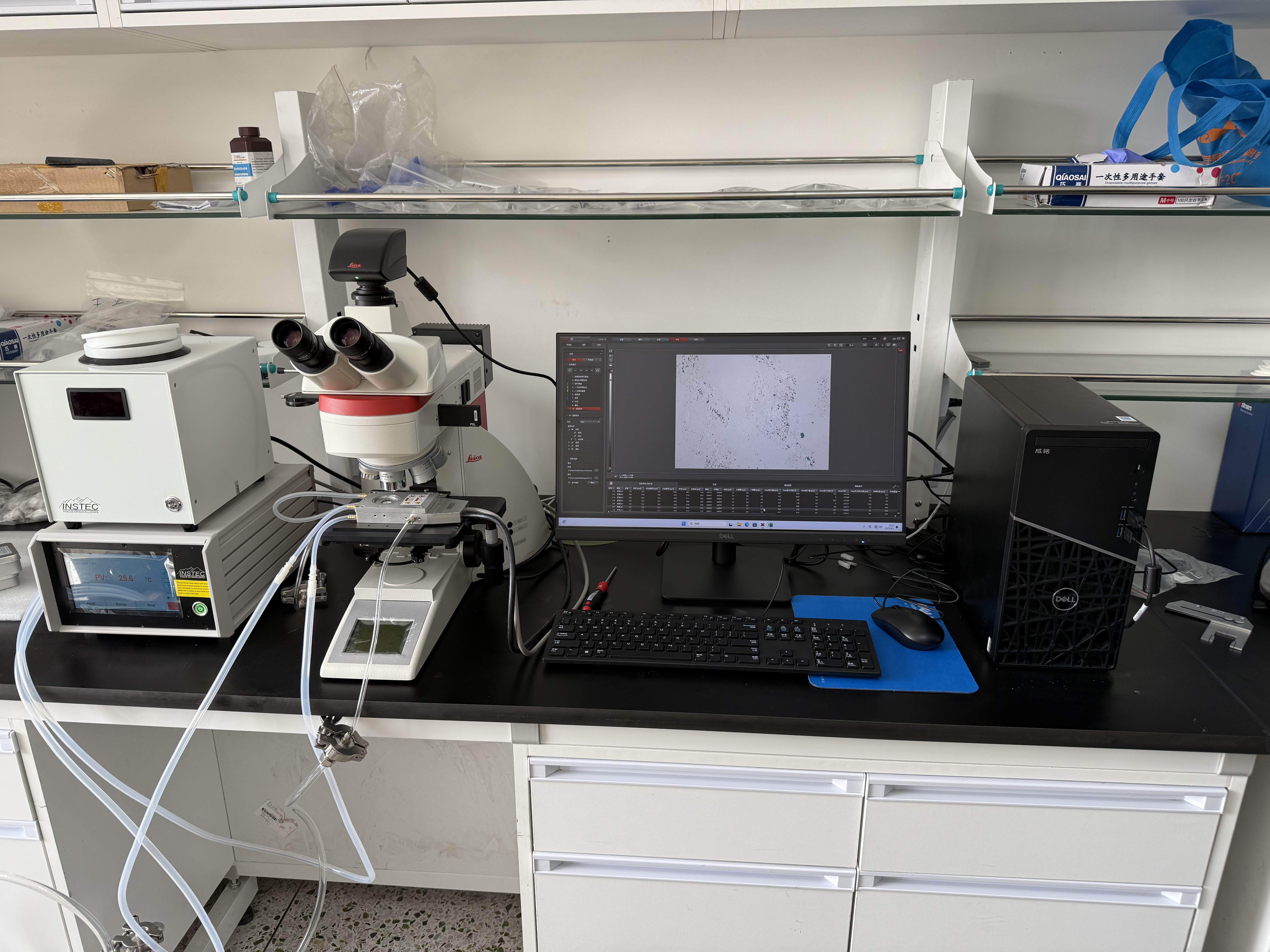 RT~1500℃高温热台搭配Leica徕卡显微镜-探索材料高温奥秘