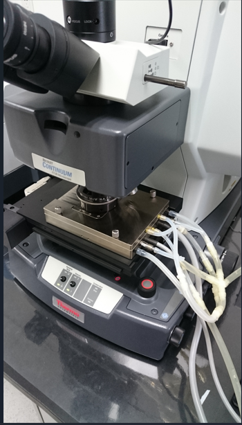单斜辉石中氢缺陷从室温至1000°C的性质： 对上地幔氢保存能力及电导率影响的启示