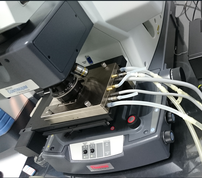 白云母铵根流失与深部圈层水循环的内在关联