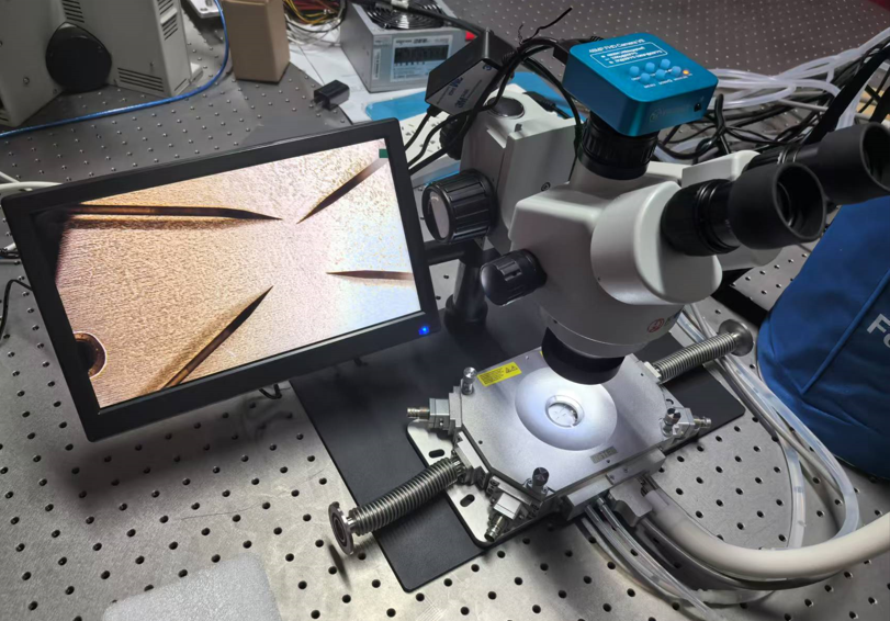 基于界面电荷俘获效应的二维二硒化钨/有机受体杂化非易失性存储器件