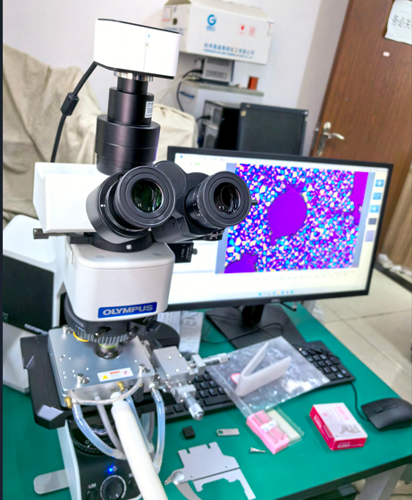 液晶液滴回音廊模式共振的研究中的相变检测