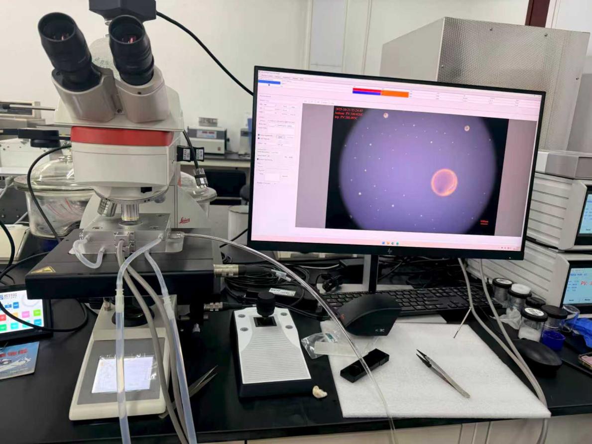 INSTEC 定制耐压热台·双面加热·洁净腔体‌-专为高温显微观测设计的双面冷热台解决方案