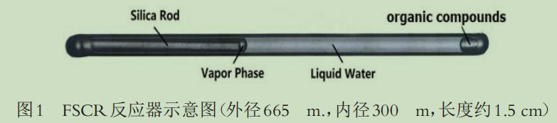 一套测定高温高压水中疏水性有机物溶解度的新型装置